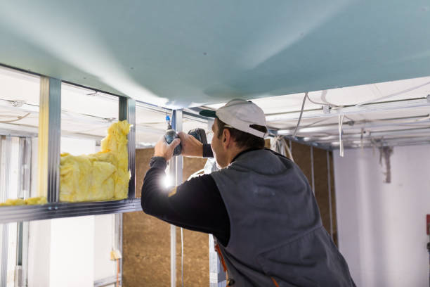 Trusted Barton, NM Insulation Contractor Experts
