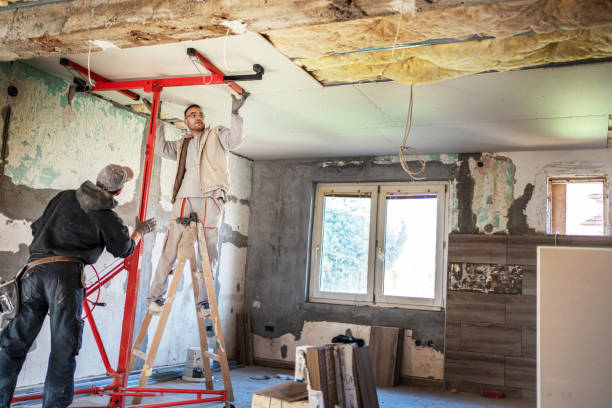 Best Insulation Maintenance and Repair in Barton, NM