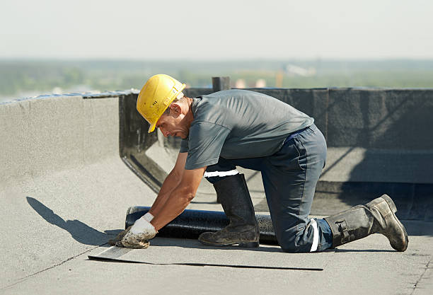 Best DIY Insulation Kits and Guidance in Barton, NM