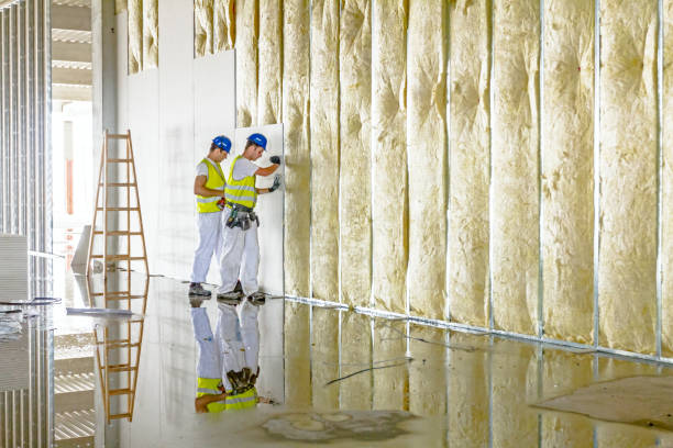 Best Spray Foam Insulation in Barton, NM